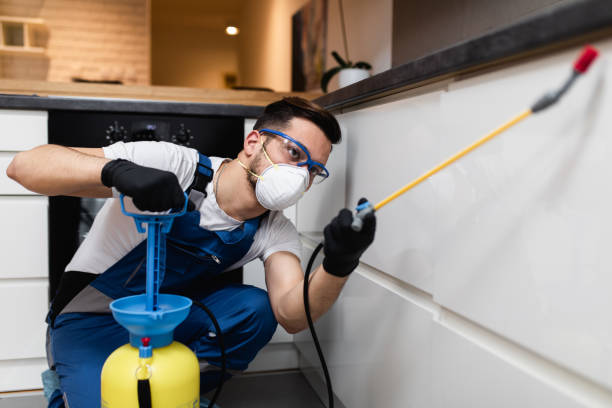 Trusted North Caldwell, NJ Pest Control Experts