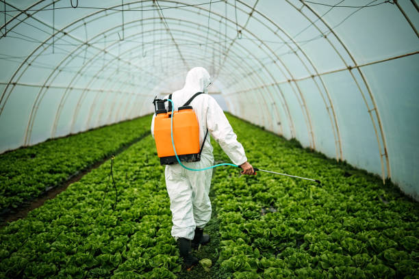 Best Local Pest Control Services  in North Caldwell, NJ