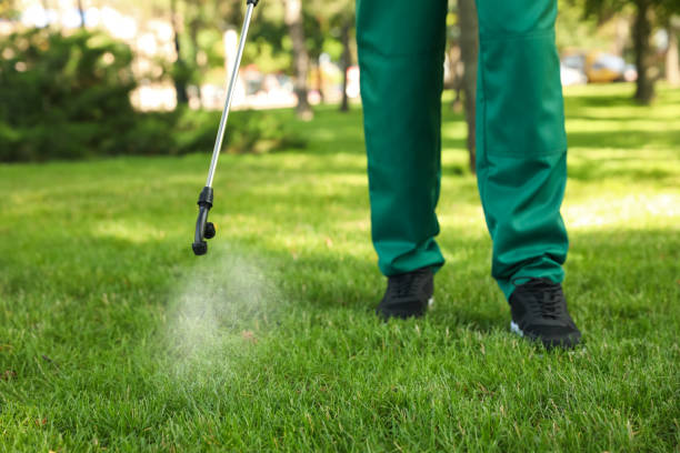 Best Local Pest Control Services  in North Caldwell, NJ
