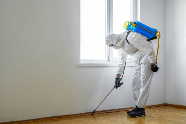 Best Bed Bug Extermination  in North Caldwell, NJ
