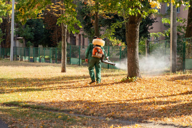 Best Wasp Removal Services  in North Caldwell, NJ
