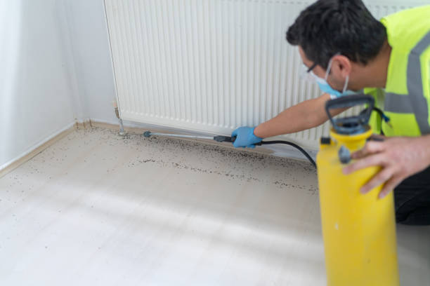 Best Pest Removal Services  in North Caldwell, NJ