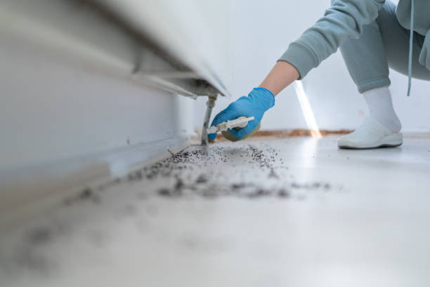 Best Mosquito Control Services  in North Caldwell, NJ